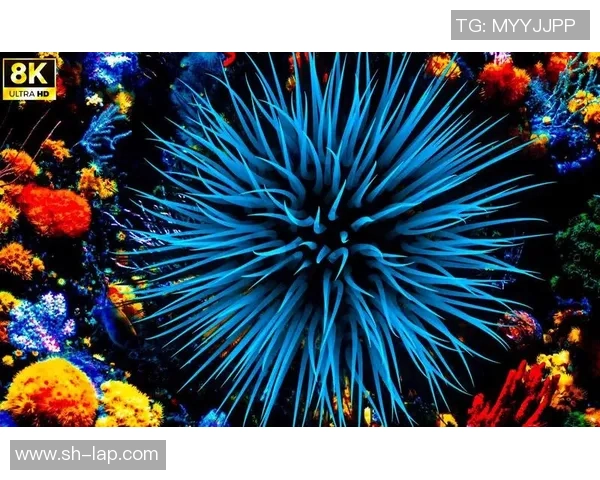 8KHDR显微镜头展现汗珠与草屑飞扬的细腻世界之美